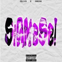 SIAMESE! - Single - ZILLVH