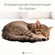 Entspannende Klaviermusik für Katzen | Katzenmusik zum Beruhigen und Schlafen - Tierisch entspannt