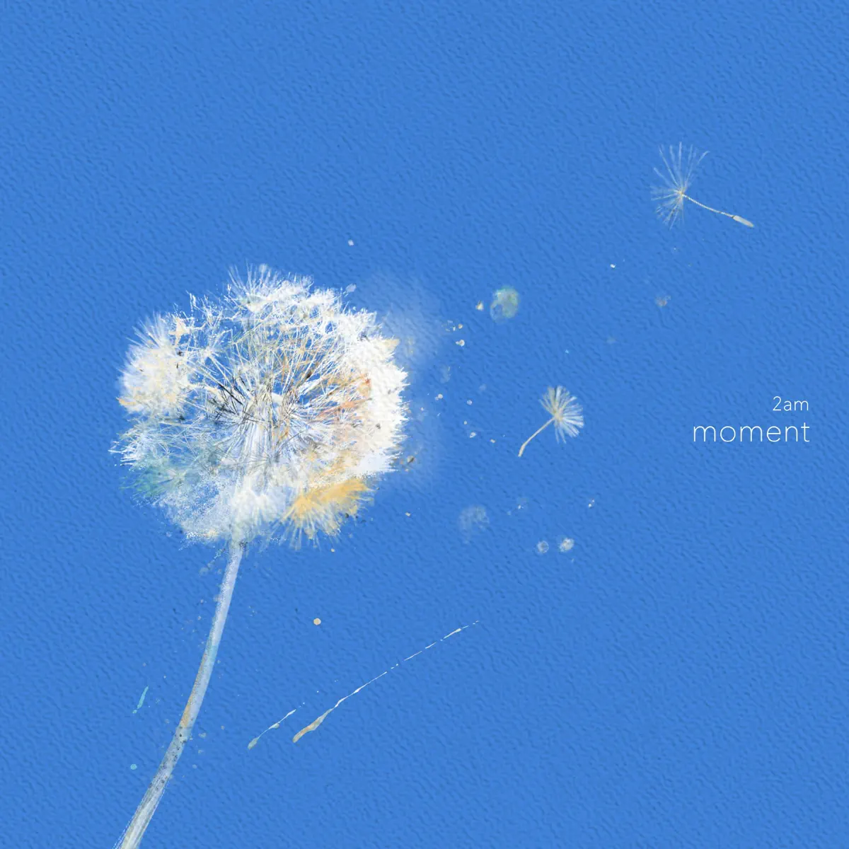 2AM - Moment - Single (2025) [iTunes Plus AAC M4A]-新房子