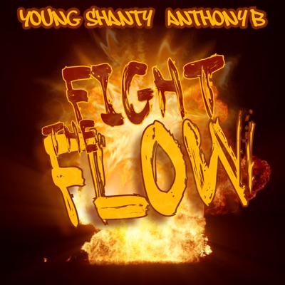 Fight the Flow - Single