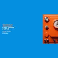 Technicolor Time Capsule - Lucky Dropout & MAYLYN