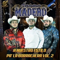 A NUESTRO ESTILO PA' LA BORRACHERA VOL. 2 - Hermanos Madero
