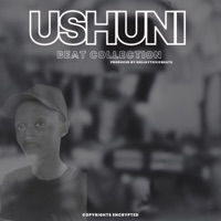USHUNI BEAT COLLECTION - EP - Deejaytoxicbeats