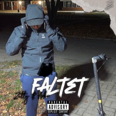 FÄLTET (feat. ZITTY) - Single