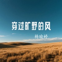 穿过旷野的风 - Single - 杨瑜婷