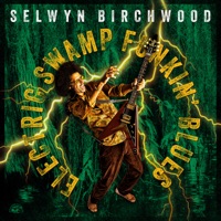 Selwyn Birchwood Ablum Cover