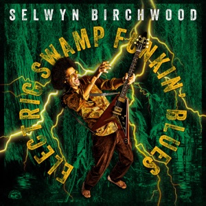 Electric Swamp Funkin' Blues
