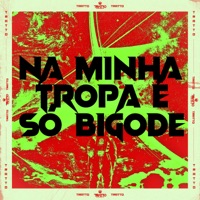 Na Minha Tropa É Só Bigode (feat. Mano DJ) - Single - Mc Bobii