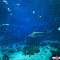 Genie - Single - Luh Zaee