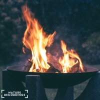 Calm Fireplace Ambience for Reading and Sleep - EP - Nature Recordings, Nature Field Recordings & Natural Sound Makers