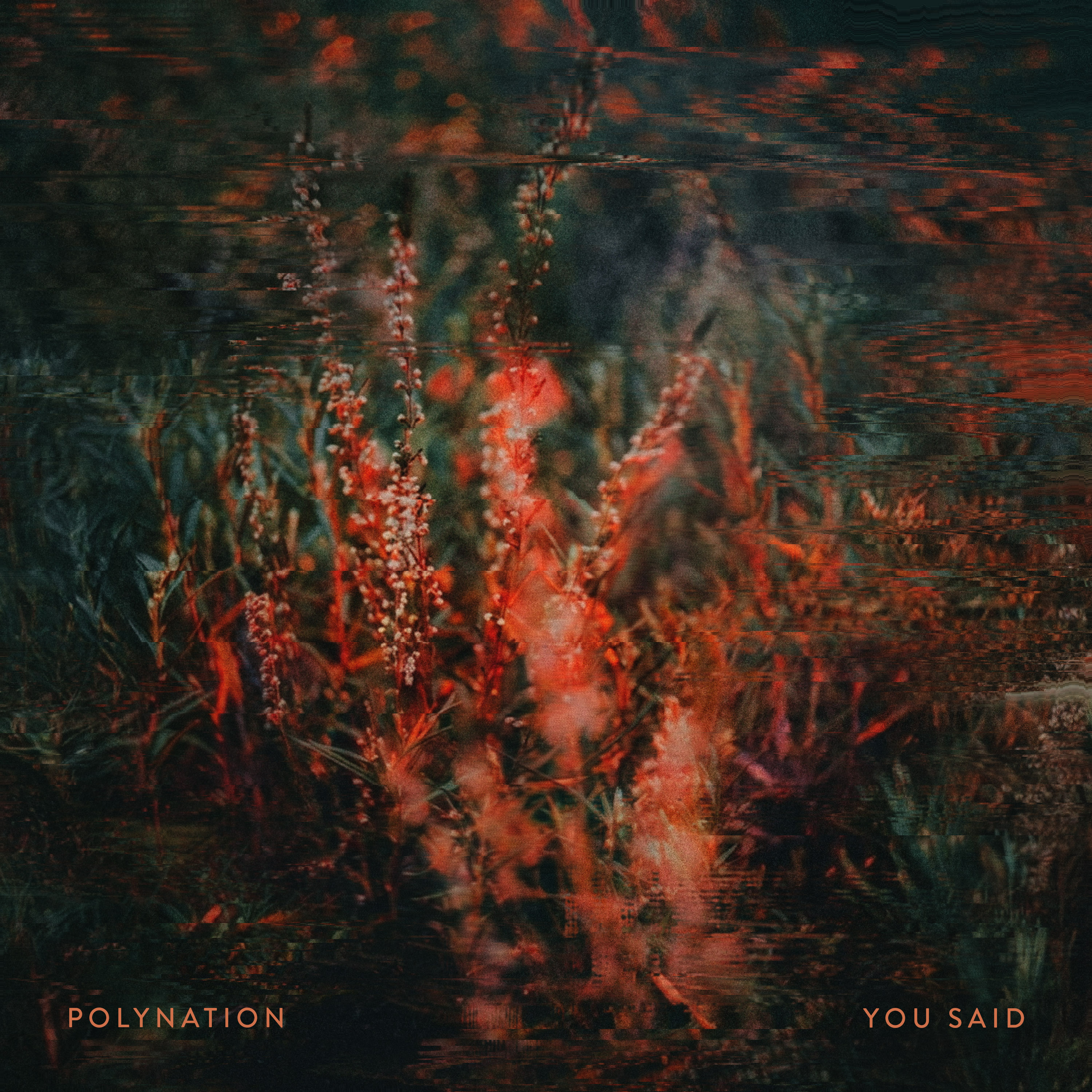 You Said - Single