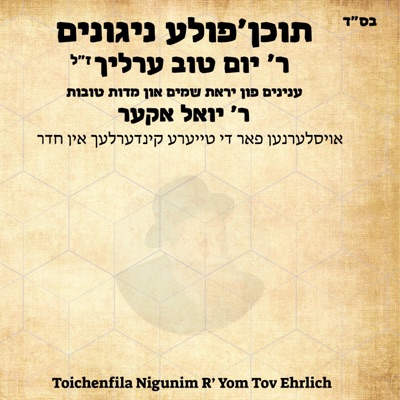 Toichenfila Nigunim R' Yom Tov Ehrlich (feat. Yoel Aker)