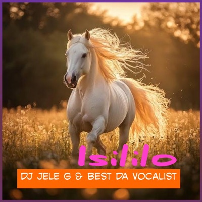 Isililo - Single