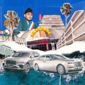 Mr LE FAIRE cover