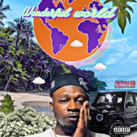 Wonderful World - Eli Mcfly & Money Montage