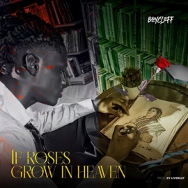 If Roses Grow In Heaven Boycleff