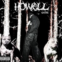 EXOTIC CHAPTER I: BIRTH OF THE SAGA - EP - Howell