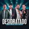Desidratado (Fred & Fabricio)