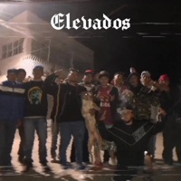 Elevados (feat. La Juárez) - Single - UnderCrudos
