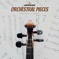 Orchestral Pieces, Vol. 2 - EP - Bruno Letort