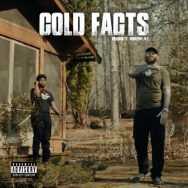 Cold Facts (feat. Country Jay) Hessom