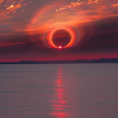 Angel seeking violence - Single