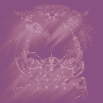 canser / souldsgn - Single