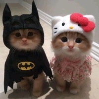 heart away! - Single - roxkstargf & angst!