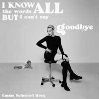 I Know All The Words But I Can't Say Goodbye - Emma Sehested Høeg