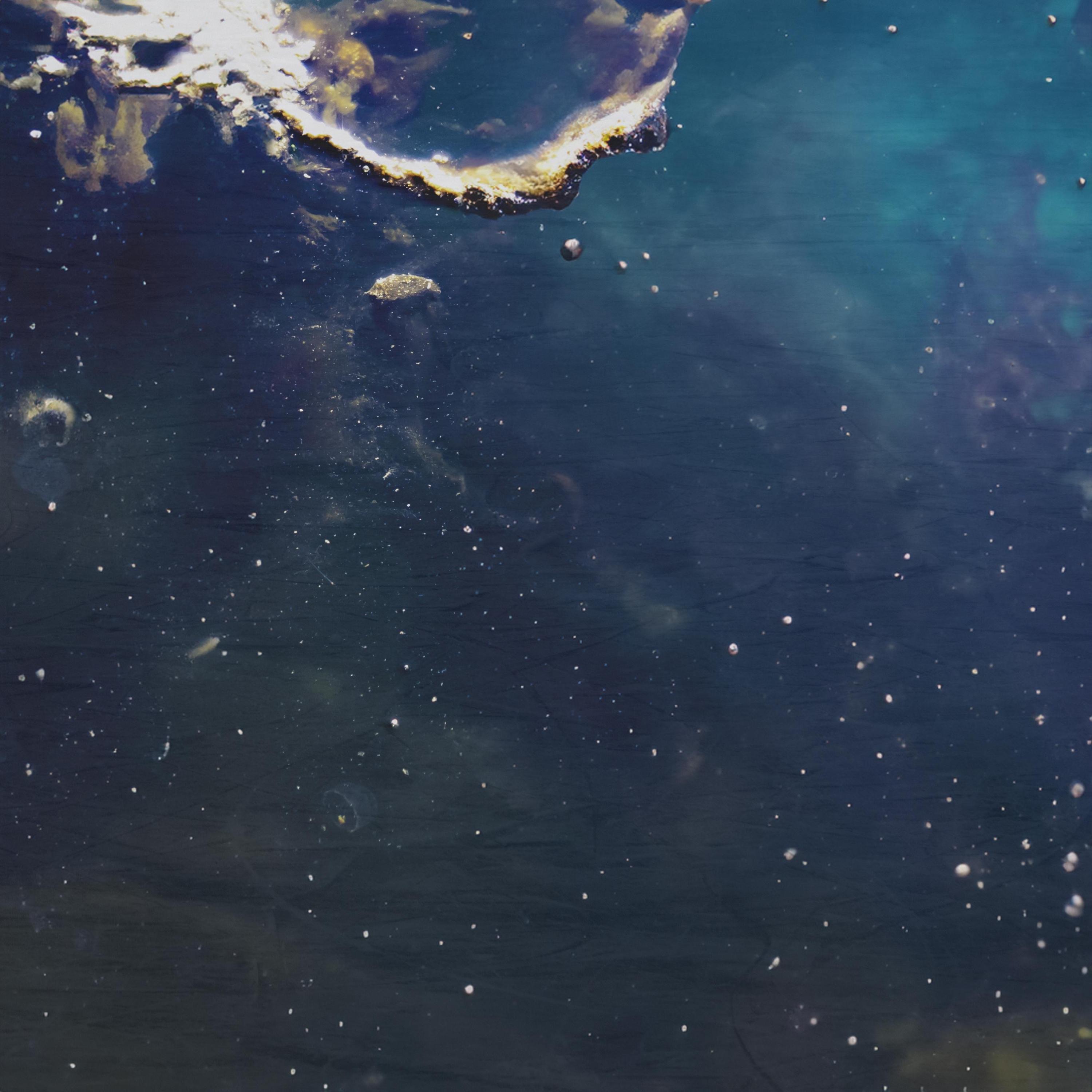 Shoulder Cuts - Single