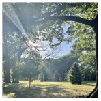 I Will Follow You Into The Dark - Single