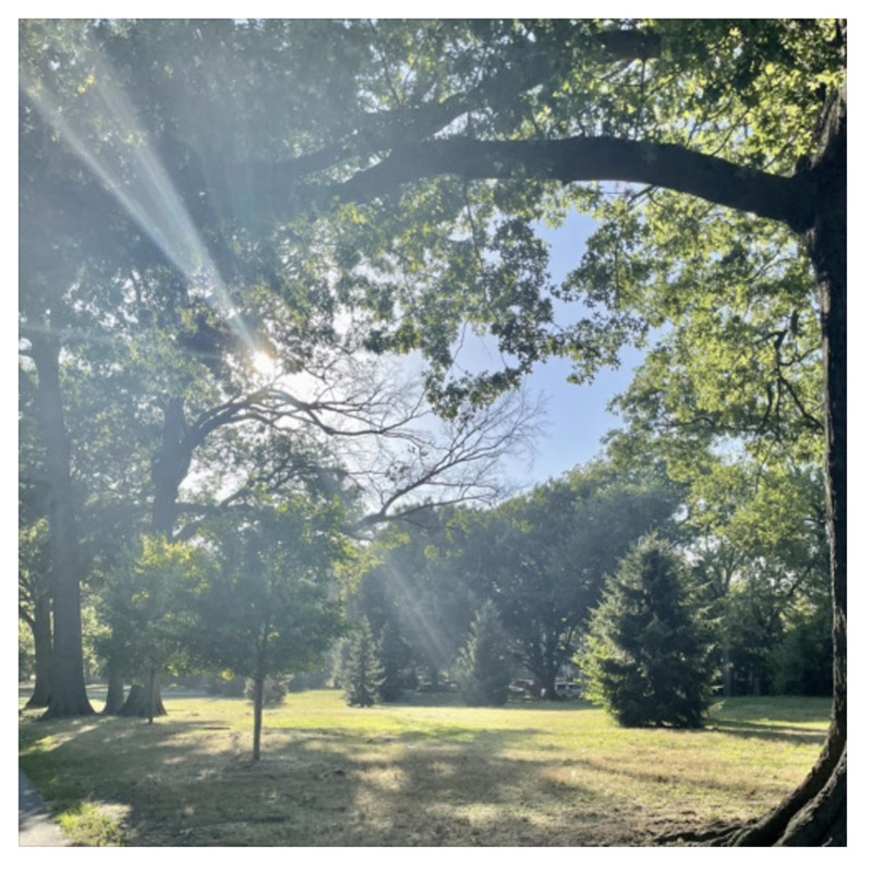 I Will Follow You Into The Dark - Single