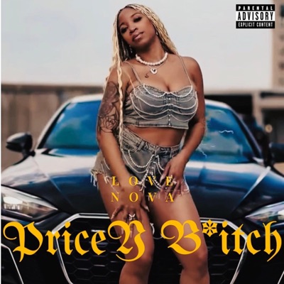 Pricey Bitch - Single