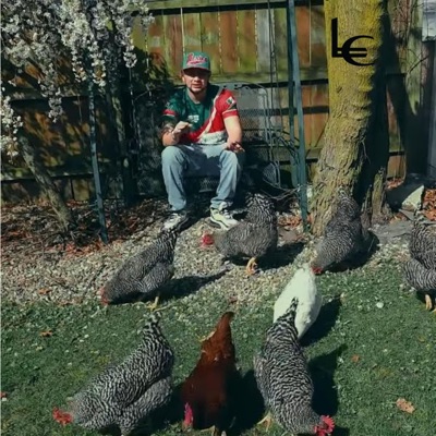 The Climb - Single