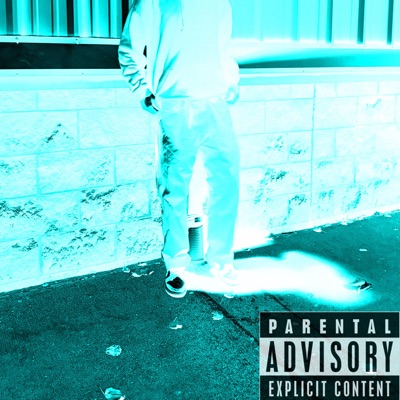 For The Hoes - Single