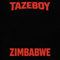 ZIMBABWE - Single - TAZEBOY