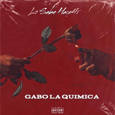 Lo Sabe Hacer - Single
