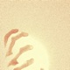 The Eclipse