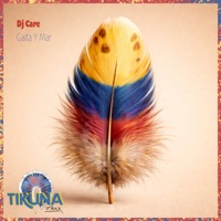 Gaita y Mar - Single - DJ Care