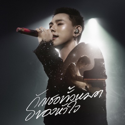 รักเธอทั้งหมดของหัวใจ (For My Brother) [feat. Daou Pittaya] - Single