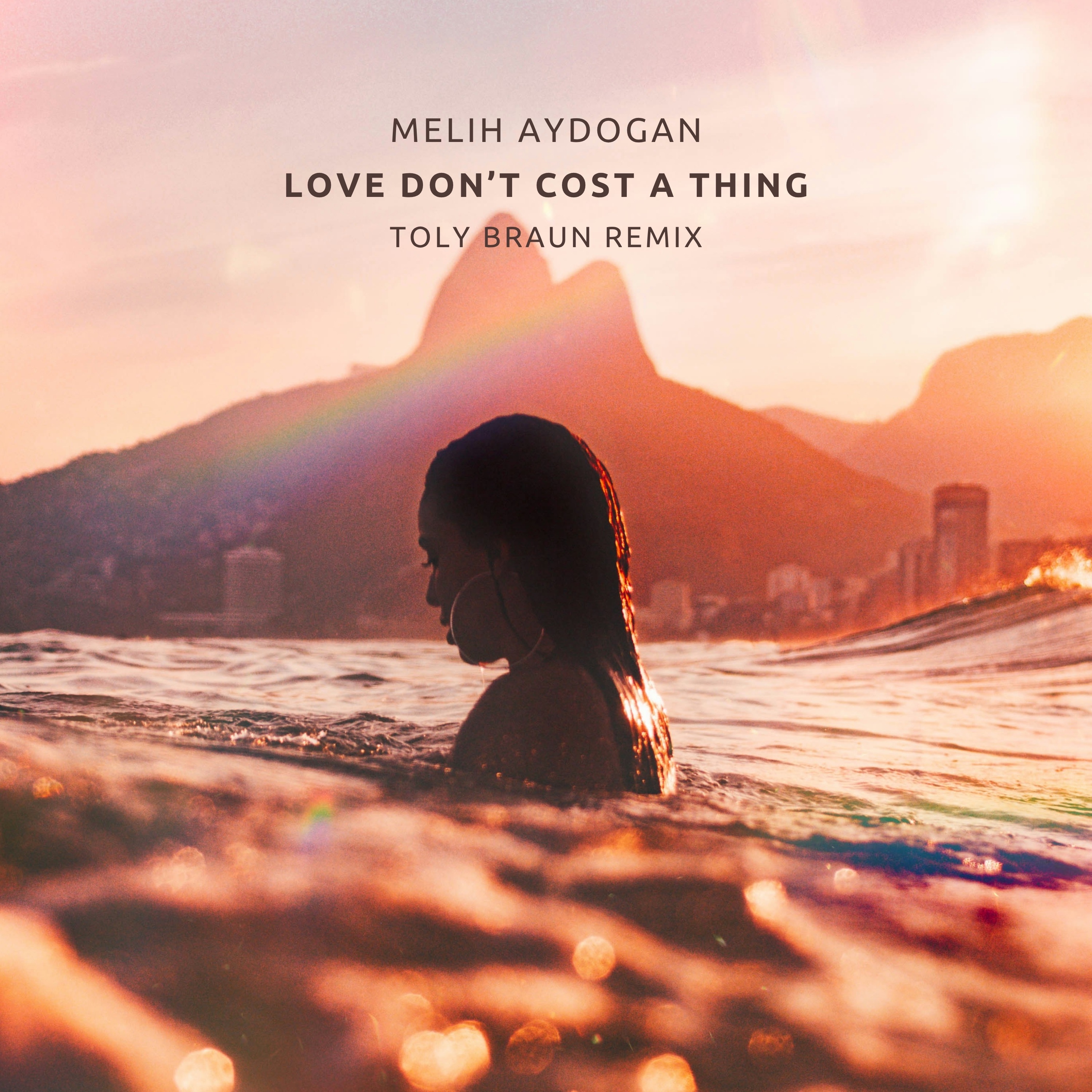 Love Don't Cost a Thing (Toly Braun Remix) - Single