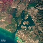 Pearl Harbor (feat. Pangyy) - Single