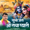 Suno Jara O Radhe Pyari - Single