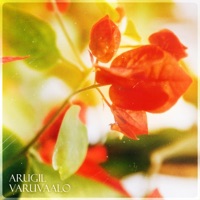 Arugil Varuvaalo (feat. Bhars) - Single - Goutham Vasu Venkatesan