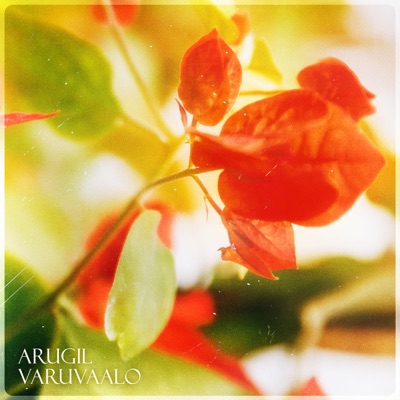 Arugil Varuvaalo (feat. Bhars) - Single