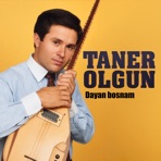 dayan bosnam - Single