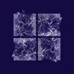 Ara4