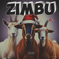 ZIMBU (feat. Ketepa Music & Jamzey M50) - Single - Palma_Officiale