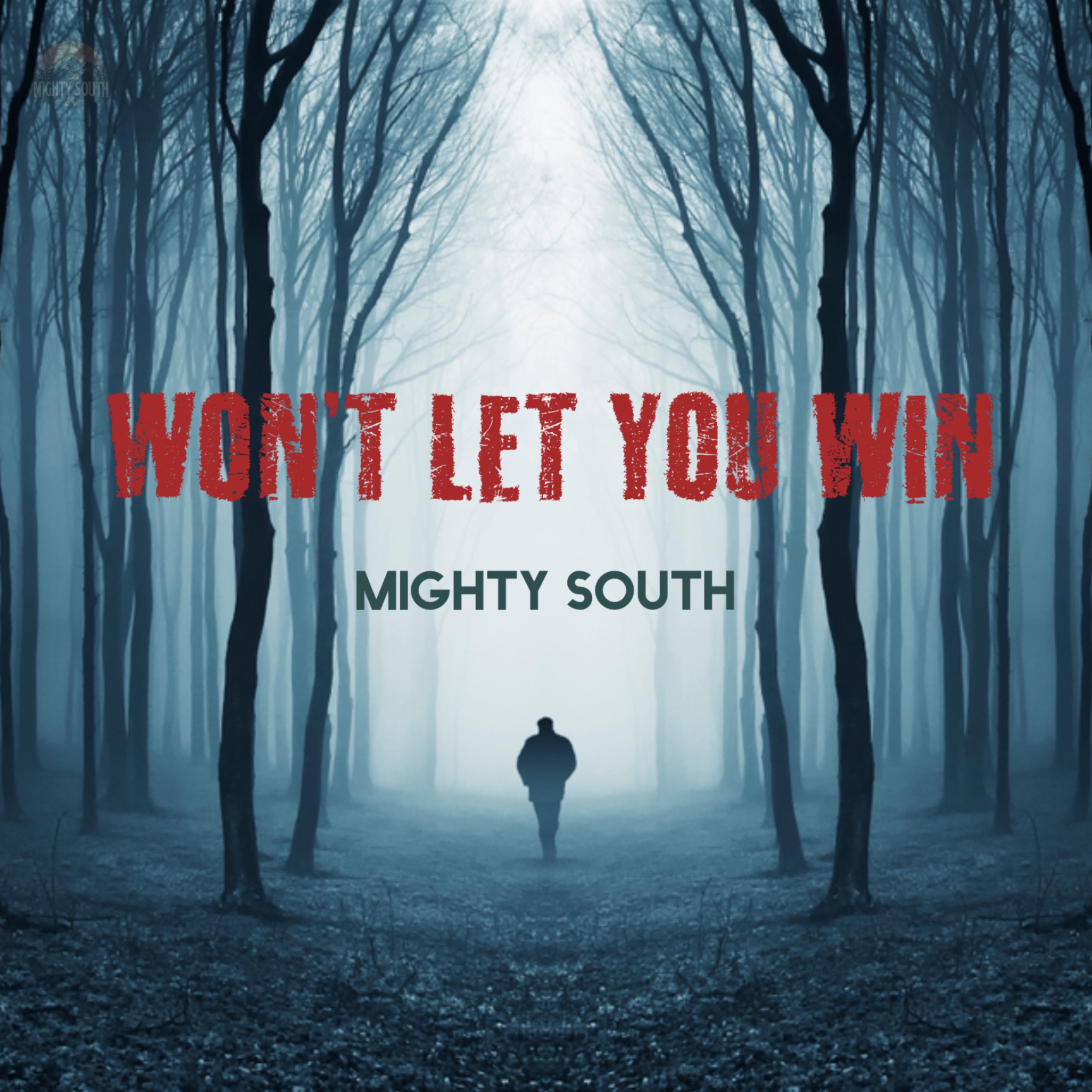Won't Let You Win - Single