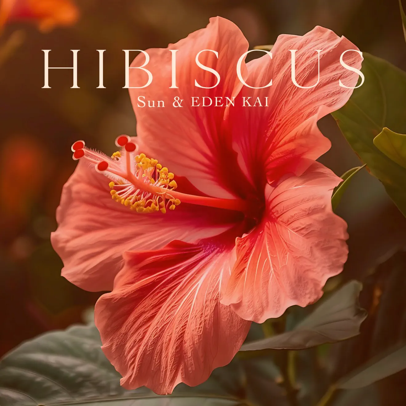 Sun & Eden Kai – Hibiscus – Single (2024) [iTunes Match M4A]